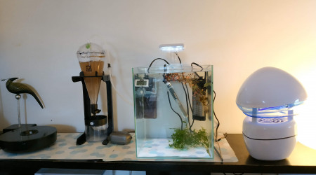 aquarium Nano incubateur élevage