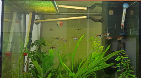 aquarium Juwel Lido 120