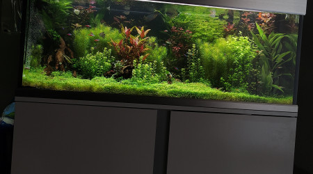 aquarium Eheim 320L