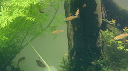 3 mois après leur naissance