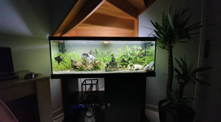 aquarium Premier Aquarium