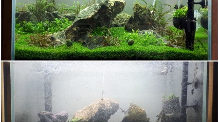 La fin d'une belle histoire