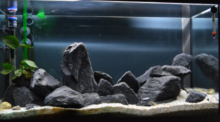 aquarium Tanganyika 126L