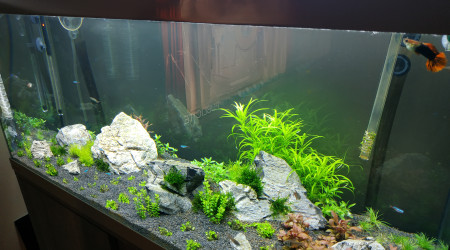 aquarium Bac 180 litres