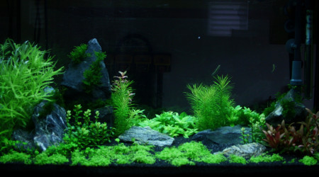 Juwel Rio125 - Jour 25