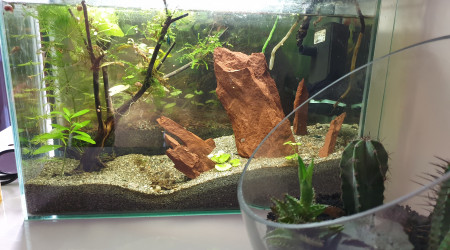 aquarium Nano 20L