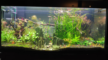 aquarium 420 litres