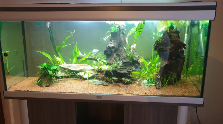 aquarium 1 er aquarium 100 l