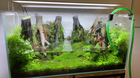 Grosse session maintenance