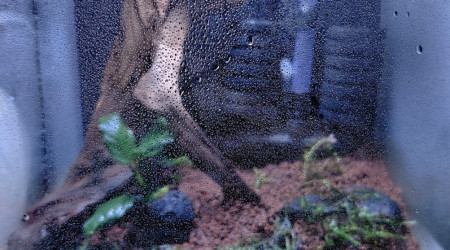 Lancement du dry start