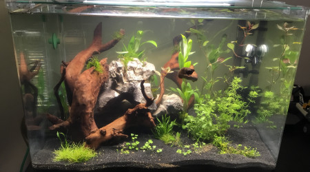 aquarium Scapertank 70l