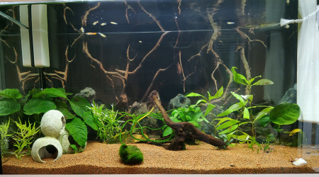 aquarium Test