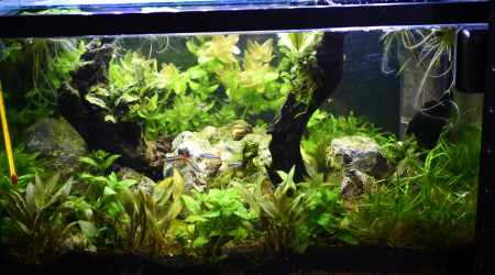 aquarium 40 litres chinois