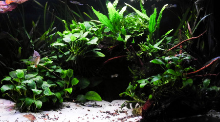 L'entrée de la grotte