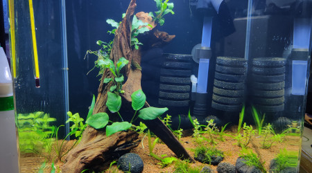 aquarium Nano30