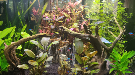 Nouvelles photos du 28 juillet 2020