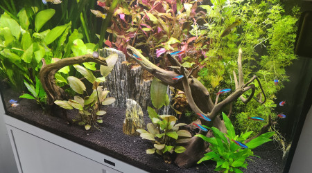 Nouvelles photos du 28 juillet 2020