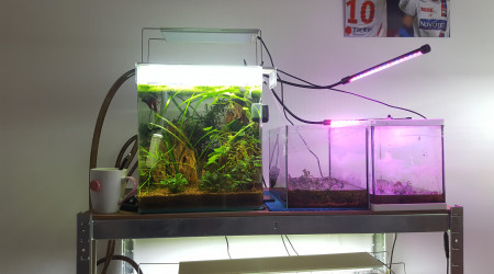 Juni prend ses aises dans son bac