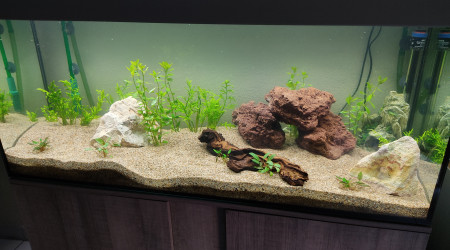 aquarium Aqua240