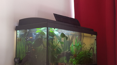 Pixi est de sortie... chacun fait sa vie.