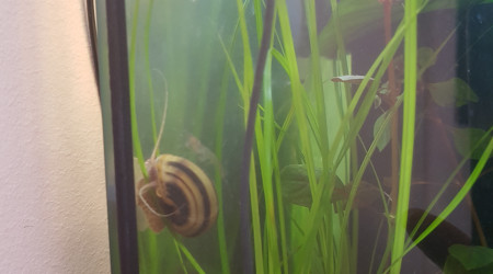 Pixi est de sortie... chacun fait sa vie.