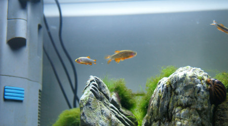 Les Trois Pucelles: 2 mois et demi après