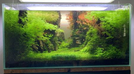 De retour après 3 semaines de vacances