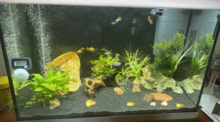 aquarium Familles