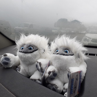 aquariophile Ellana29