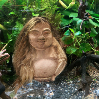 aquariophile Charles