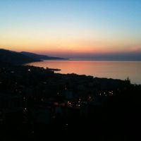 aquariophile sophie.06