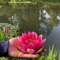 aquariophile wei-chen