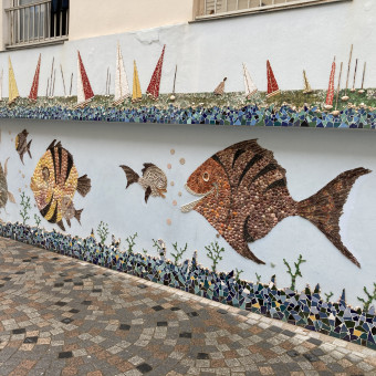 aquariophile valentin-herou