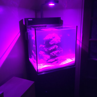 aquariophile frederic-gea