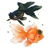 aquariophile Alexdlly123