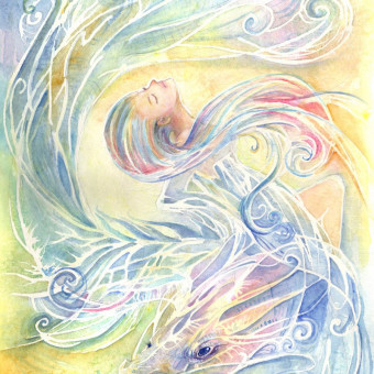 aquariophile Elias_akvv