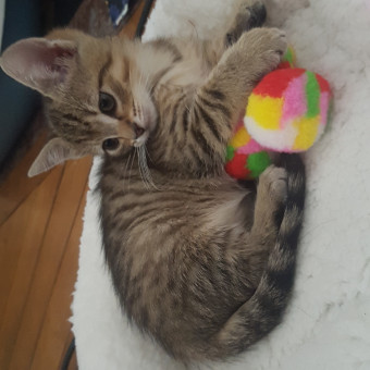 aquariophile plop_ENCPB_75013