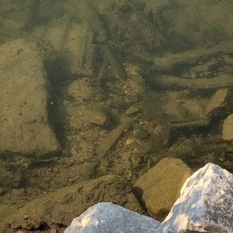 aquariophile jeremie71510