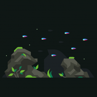 aquariophile osaka.garden