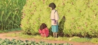 aquariophile NicolasVD