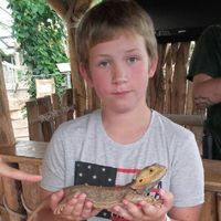 aquariophile arthur-lamache