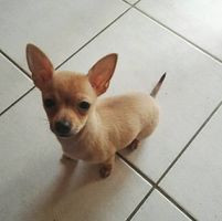 aquariophile Lucie_chr