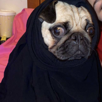 aquariophile Famacito