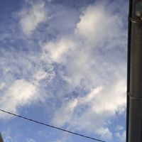 aquariophile geophagus67