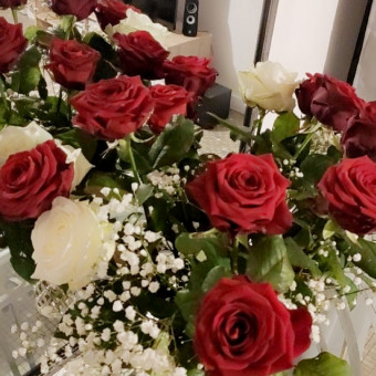 aquariophile sandra-morin-barbou