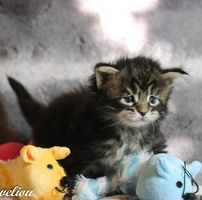 aquariophile Govelgoz