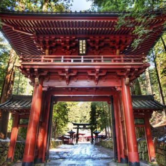 aquariophile Kaoslenji