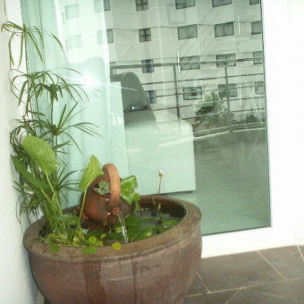 aquariophile vario445