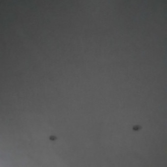 aquariophile Tubertini