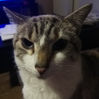 aquariophile gribsgirl25490